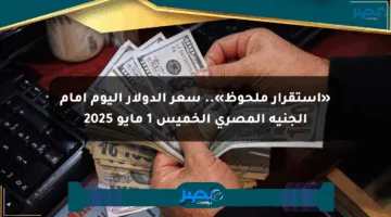 «استقرار ملحوظ».. سعر الدولار اليوم أمام الجنيه المصري الخميس 1 مايو 2025